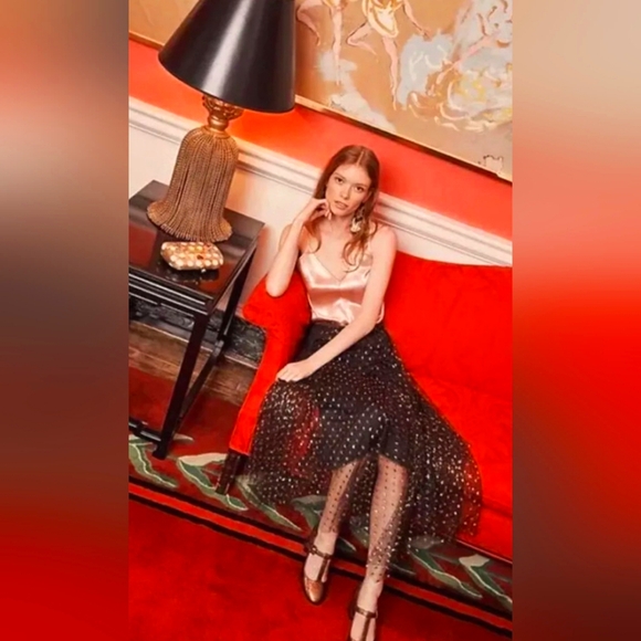 Eva Franco Dresses & Skirts - Anthropologie Zelda Metallic Tulle Maxi Skirt by Eva Franco NWOT